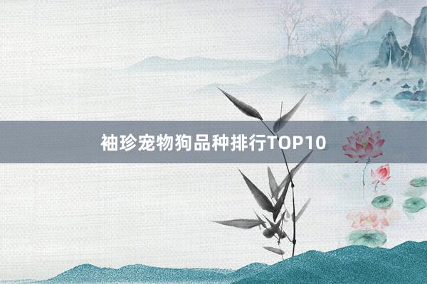 袖珍宠物狗品种排行TOP10
