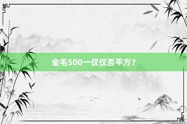 金毛500一仅仅否平方?