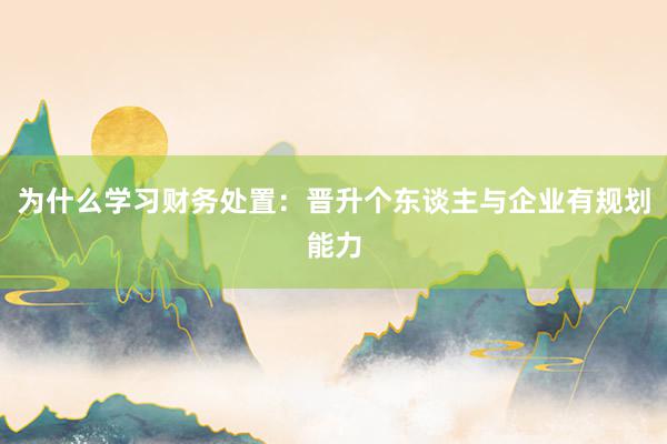 为什么学习财务处置：晋升个东谈主与企业有规划能力